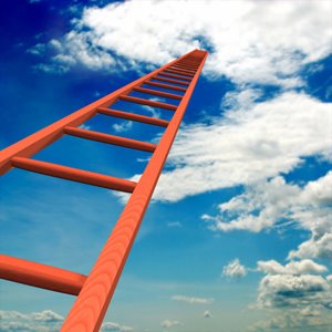 ladder ladder