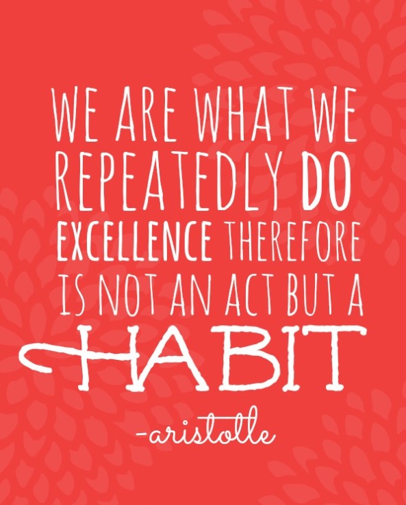 We-are-what-we-repeatedly-do-ARISTOTLE
