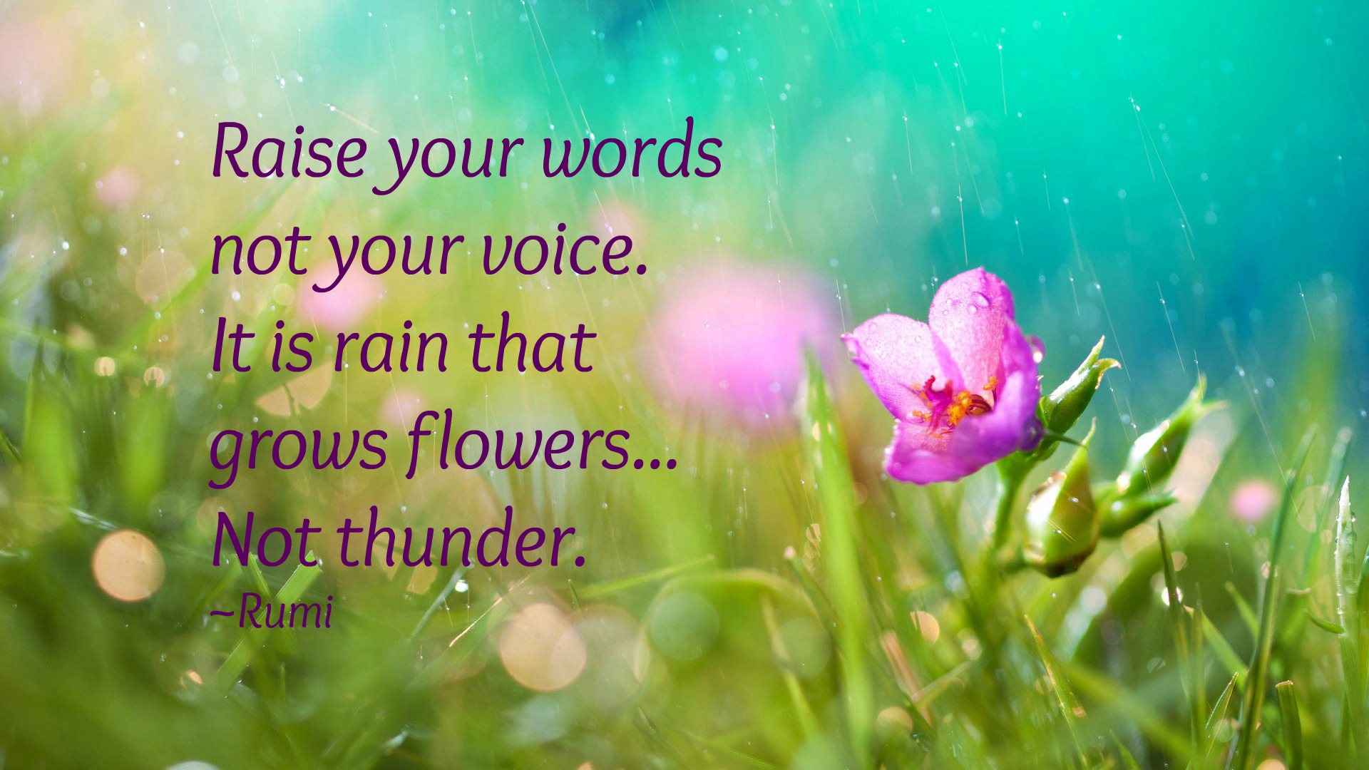 flowers-in-rain-raise-your-words-rumi