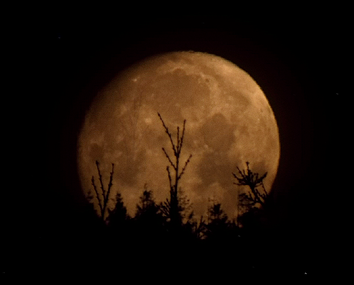 waxing-gibbous-almost-full-96