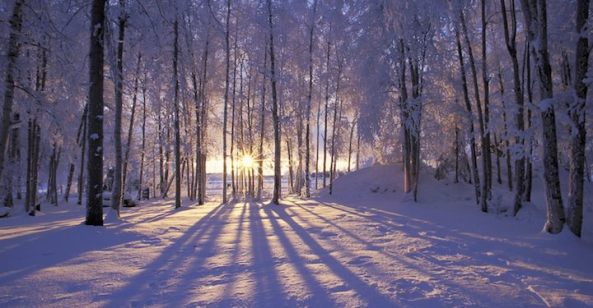 MAAS-Winter-Solstice-Return-of-the-Sun